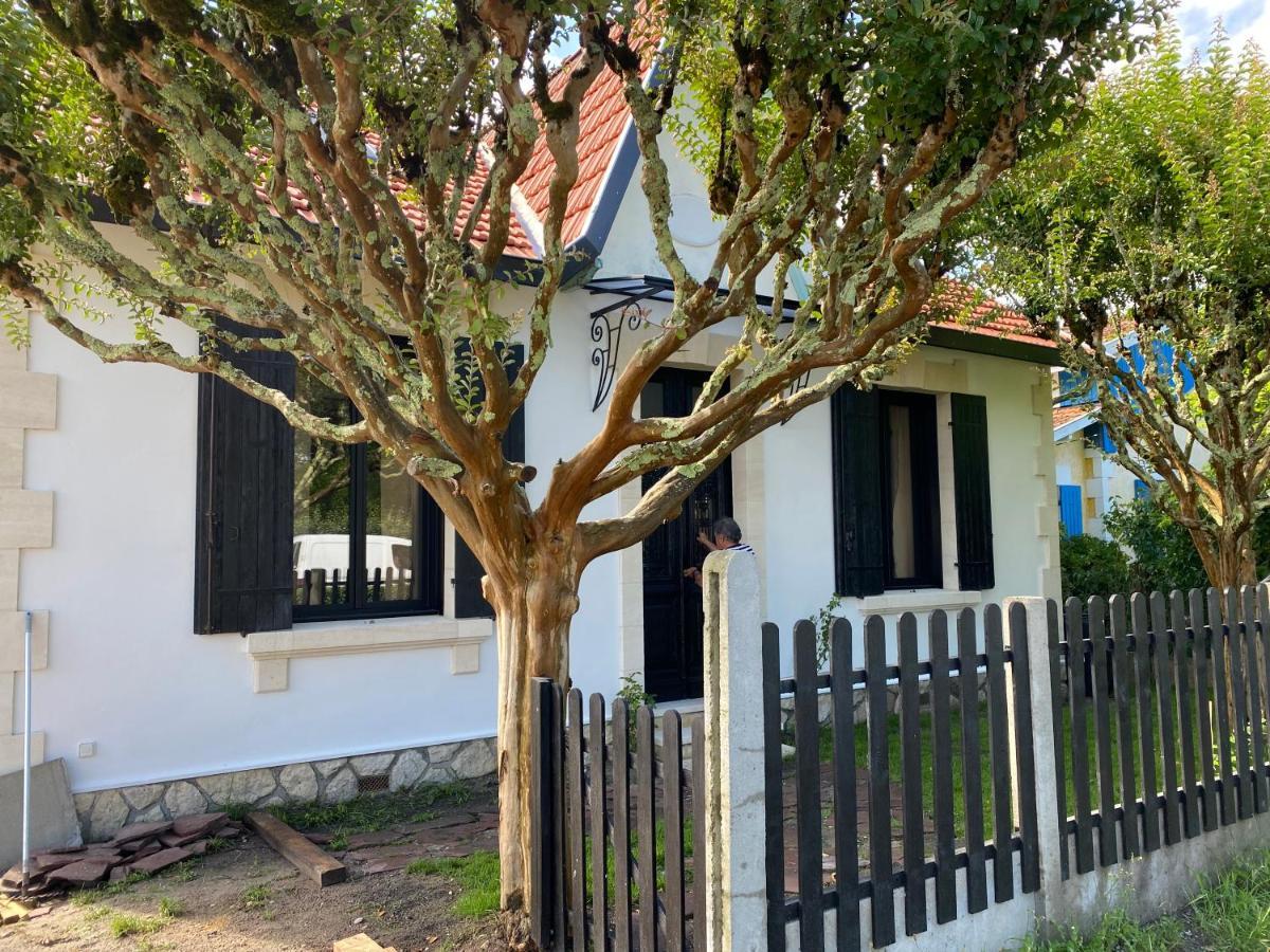 Villa Du Bassin -Un Petit Coin De Paradis Andernos-les-Bains Exterior foto